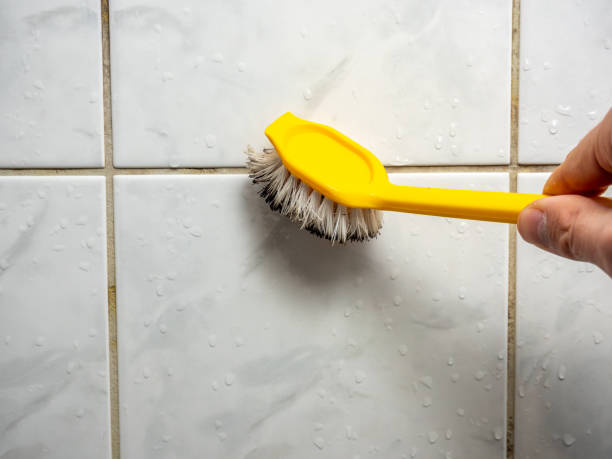 Best Affordable Mold Removal  in Laguna Heights, TX