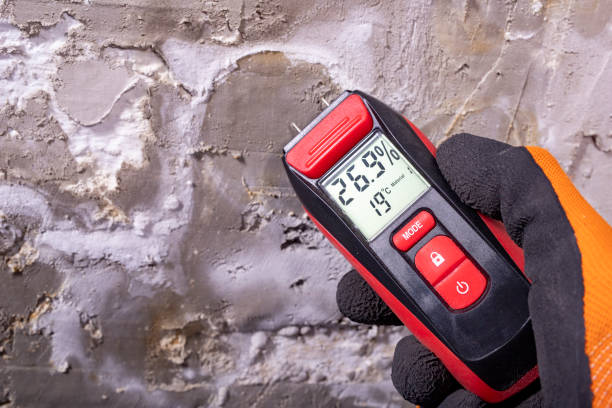 Best Mold Testing  in Laguna Heights, TX
